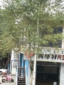 帅府最新爆料,最新爆料揭示不为人知的幕后真相  第1张